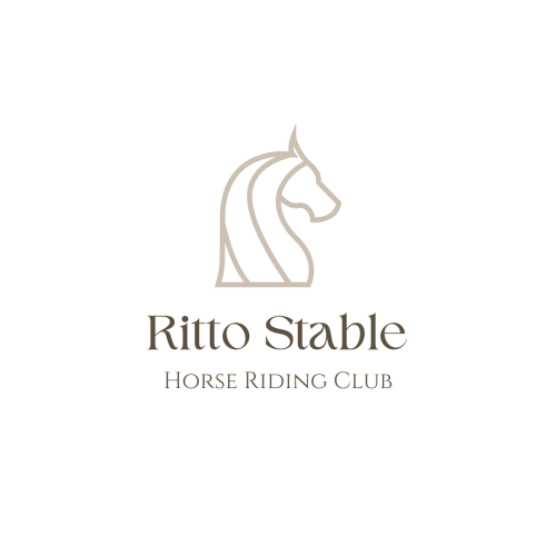 Blue and Orange Modern Horse Racing Logo (1080 × 1080 px) (1)